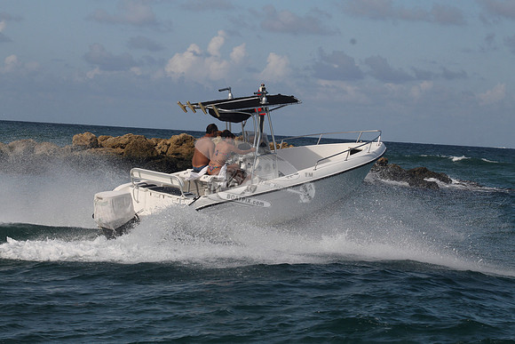 COBIA.04