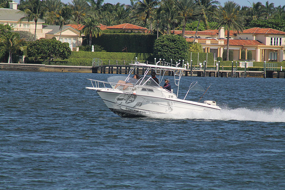 FL0052LM.03