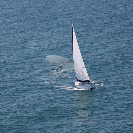 422.FL8313SN..SPIRIT OF THE WIND.48