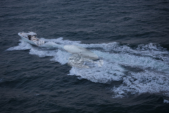 contingent seas.belleair bluffs .9018