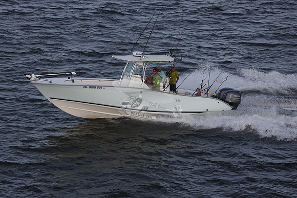 al0158rm.41