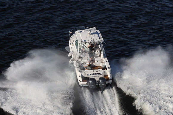 ACCI-DENTAL.JAX FL.ROBALO.03