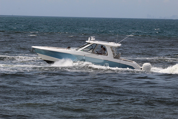 BOSTON WHALER38.BLUE.5