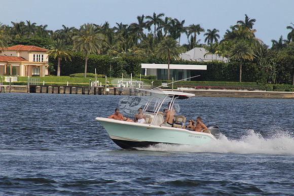 FL0493RT.401