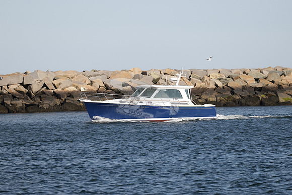 Bonnie Blue.0103