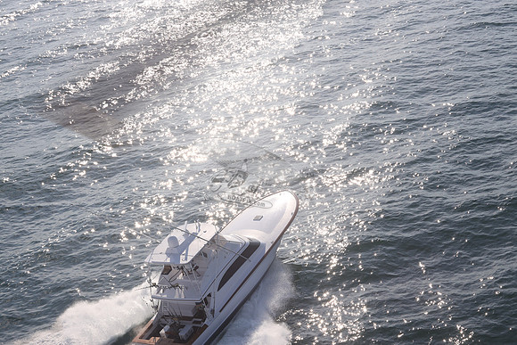 ABSOLUT PLEASURE.OCEAN CITY MD.32