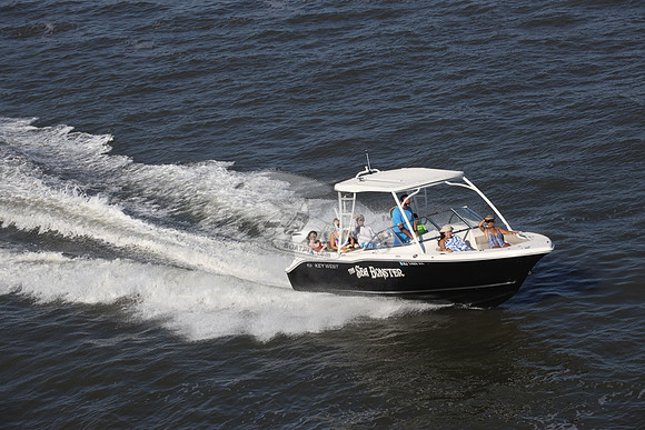 NJ1489HR.SEA BONSTER.06