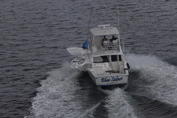 blue safari.laud.ocean.11