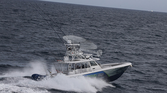 FFMD.EVERGLADES.4 YAMAHA BLUE.2818