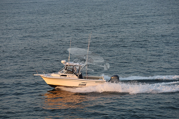 dl5059ac.seabum.8798