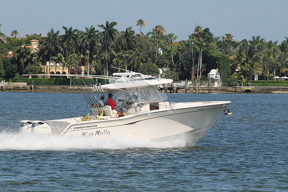 FL1714NS.11
