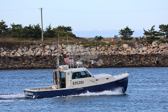 695091.poke about.sandwich ma.5346