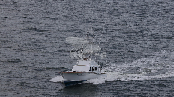 ballie who iii.islamorada fl.9498