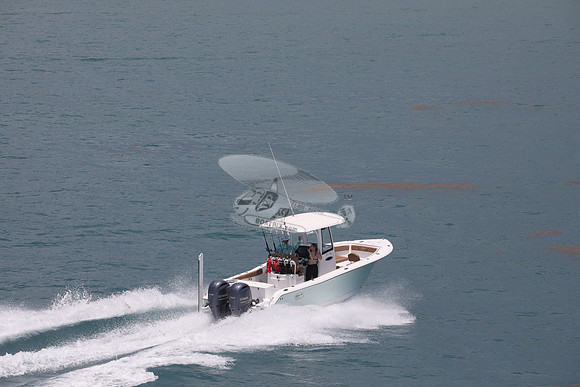 fl1853sl.sea hunt.green 2 yamah.02