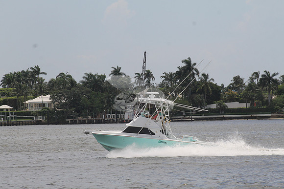 Bertram 28 green.08
