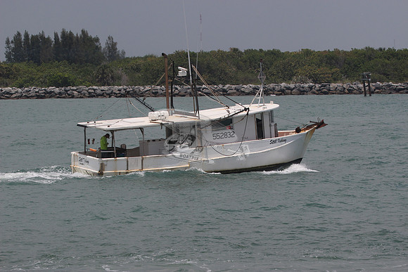 552832.STILL FISHING.CAPE CANAVERAL FL.13