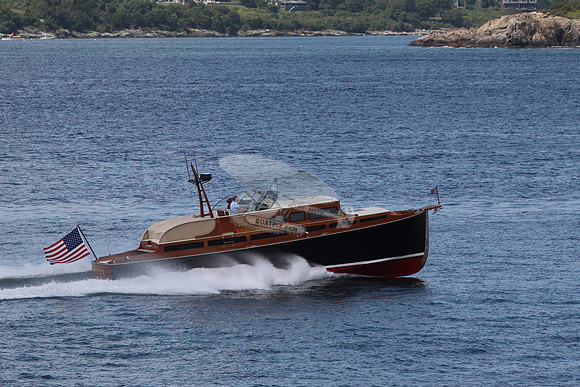 Avocette.12