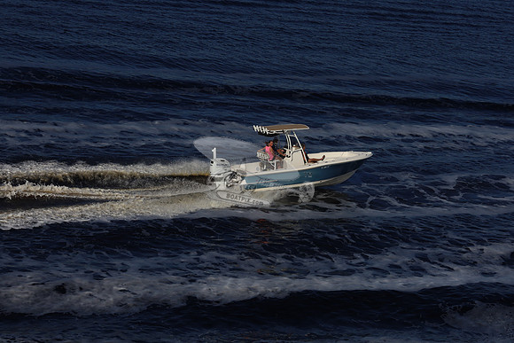 fl1281sy.01