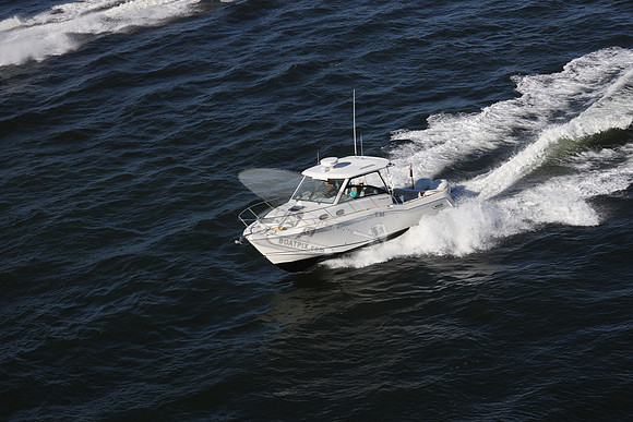 BOSTON WHALER31.4407