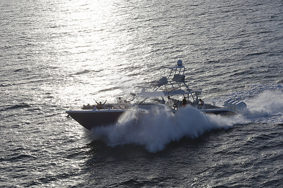 alegrias.bay harb.yellowfin.10