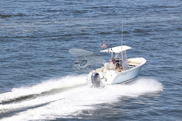 Cobia.yamaha 150. 01