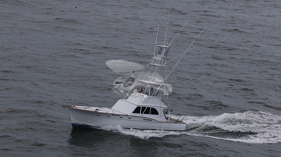 ballie who iii.islamorada fl.9503