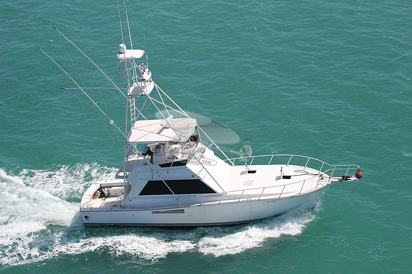 bad habit.islamorada fl.5750