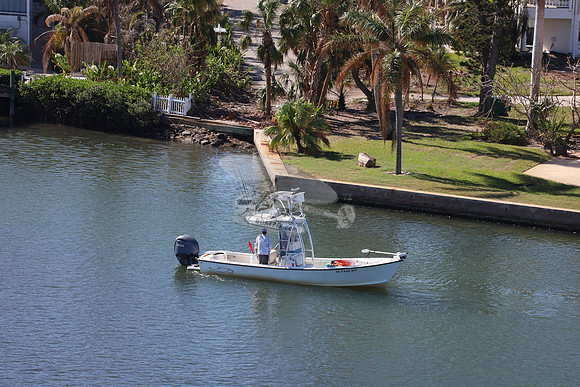 FL7441MV.1
