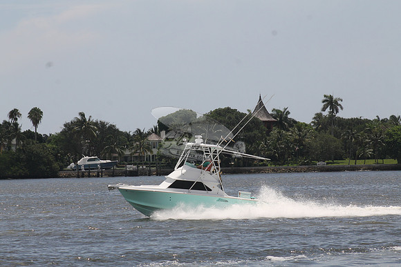 Bertram 28 green.05