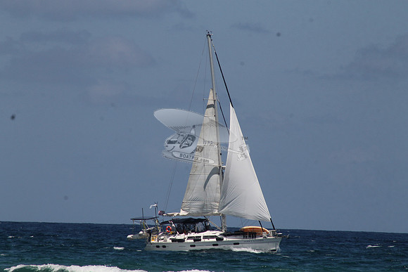 ANCHOR MANAGEMENT.06