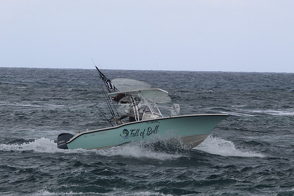 fl1368rs.full of bull.1833