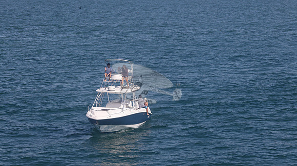 BOSTON WHALER BLUE HULL.2 MERC WHITE.9414