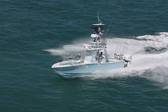 conch.jorlgrave.3 white 400 merc.6344