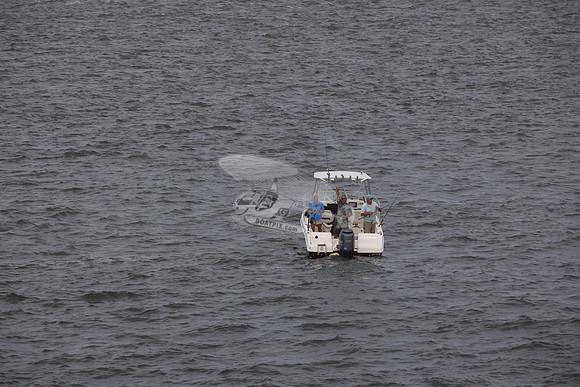 COBIA.3
