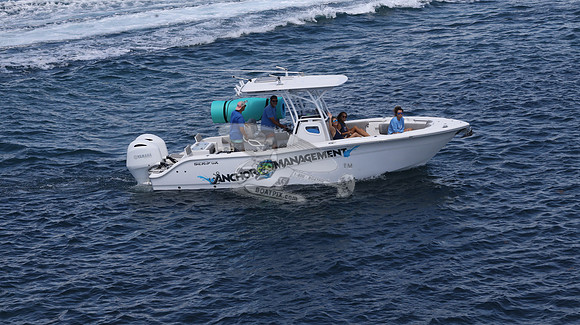 ANCHOR MANAGEMENT.SEA FOX.10