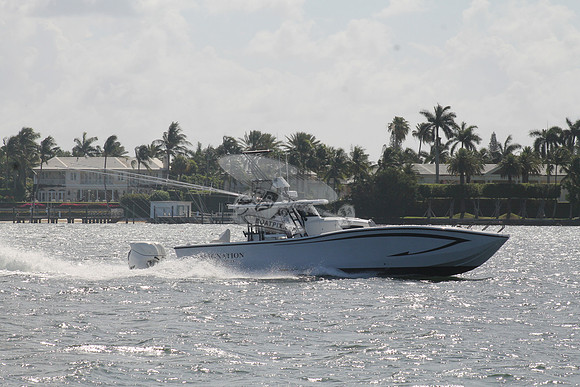 ASSIGNATION.HOBE SOUND FL.08