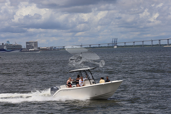 Cobia.yamaha.16
