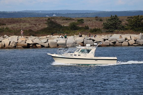 nh2442lr.fishtale.3