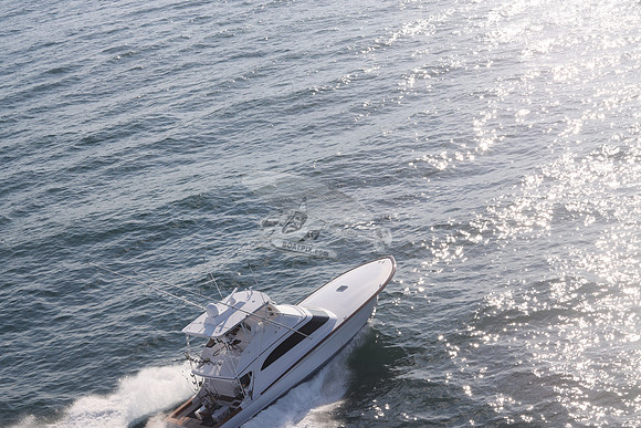 ABSOLUT PLEASURE.OCEAN CITY MD.30