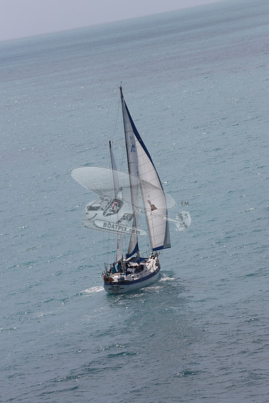 23.sea eagle.islamorada fl.3082