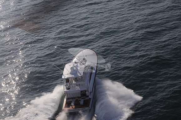 ABSOLUT PLEASURE.OCEAN CITY MD.35