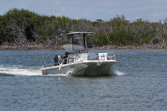 nj3191hf.0364