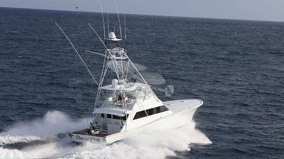CHASIN TAIL.SINGER ISLAND.2934