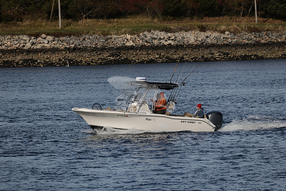 ms5366nm.01