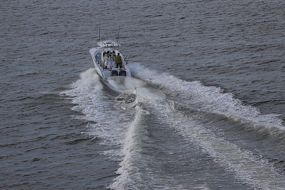 al0158rm.19