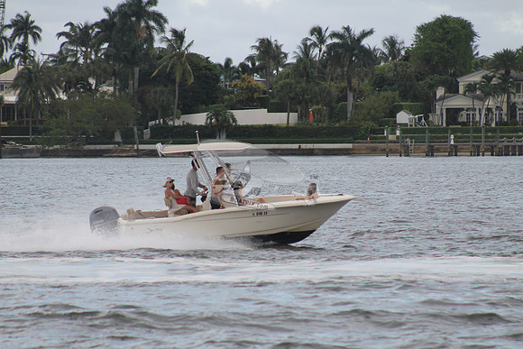 FL0786SX.802