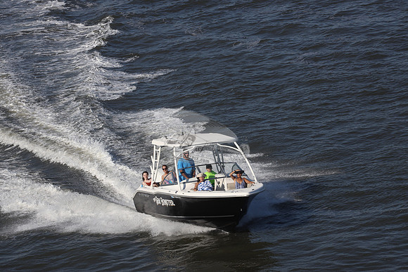 NJ1489HR.SEA BONSTER.04