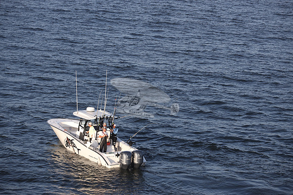 BADFISH.SOUTHPORT SC.351