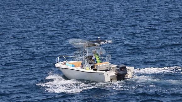 FL0253DE.03