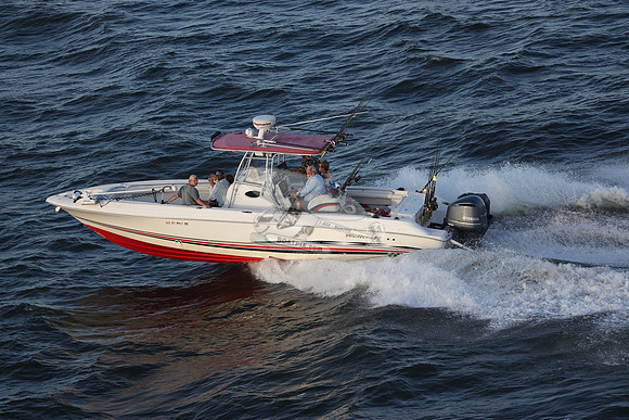 al0961rh.17